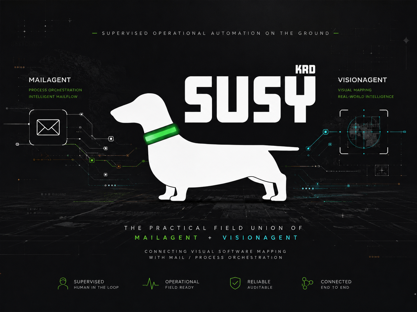 Susy KDM Automation project cover